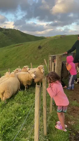 Farm life hits different after Kura #countrylife #countrykids #westcoast #aotearoa #newzealand 