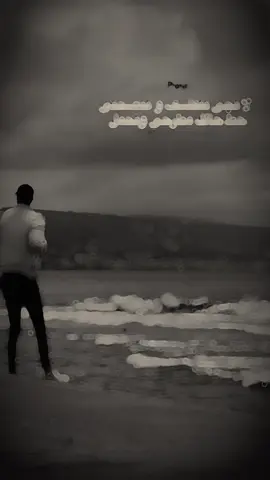 لا تجي تتفلسف وتنصحني…👌 . #تصويري📸 #عبارات #musawr_lb #viraltiktok #fypage 
