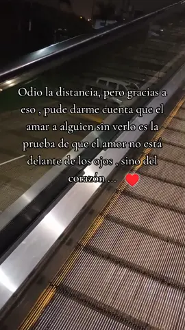 odio la distancia, pero gracias a eso me pude dar cuenta que el amar a alguien sin verlo es la prueba de que el amor . no está delante los ojos ♥️🫶 #paratiiiiiiiiiiiiiiiiiiiiiiiiiiiiiii #amordemivida #frasesdeamor #fyp #dedicalo #miamor #fyp 