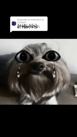 Respondendo a @fvtvabcd tha.thudo.dhe.erhrhador.😭 #fyp #socorro #hospicio #naoflopa 