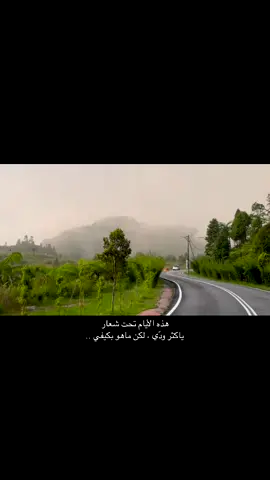 #المملكة_العربية_السعودية 