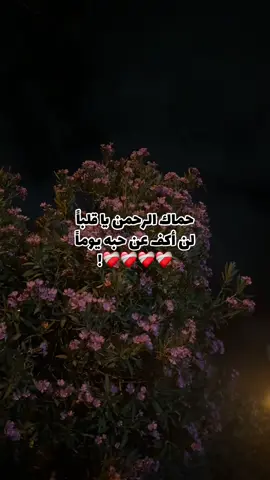 بحماية الرحمن يا حبيب الفؤاد ❤️‍🩹#فك_الله_بالعز_قيدك #أسيري💔 #اللهم_اجمعنا_على_خير🥺🤲💍 #حُب #اشتقتلكككككك💔💔 #سجن_عوفر_اللهم_اسرانا💔 #فيها_خير_إن_شاء_الله #💔 