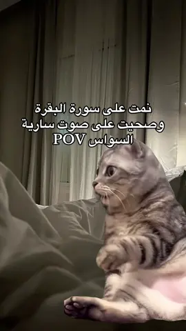 😀#سارية_السواس #ضحك_وناسة #ضحك #CapCut #fypシ゚ #اكسبلورexplore 