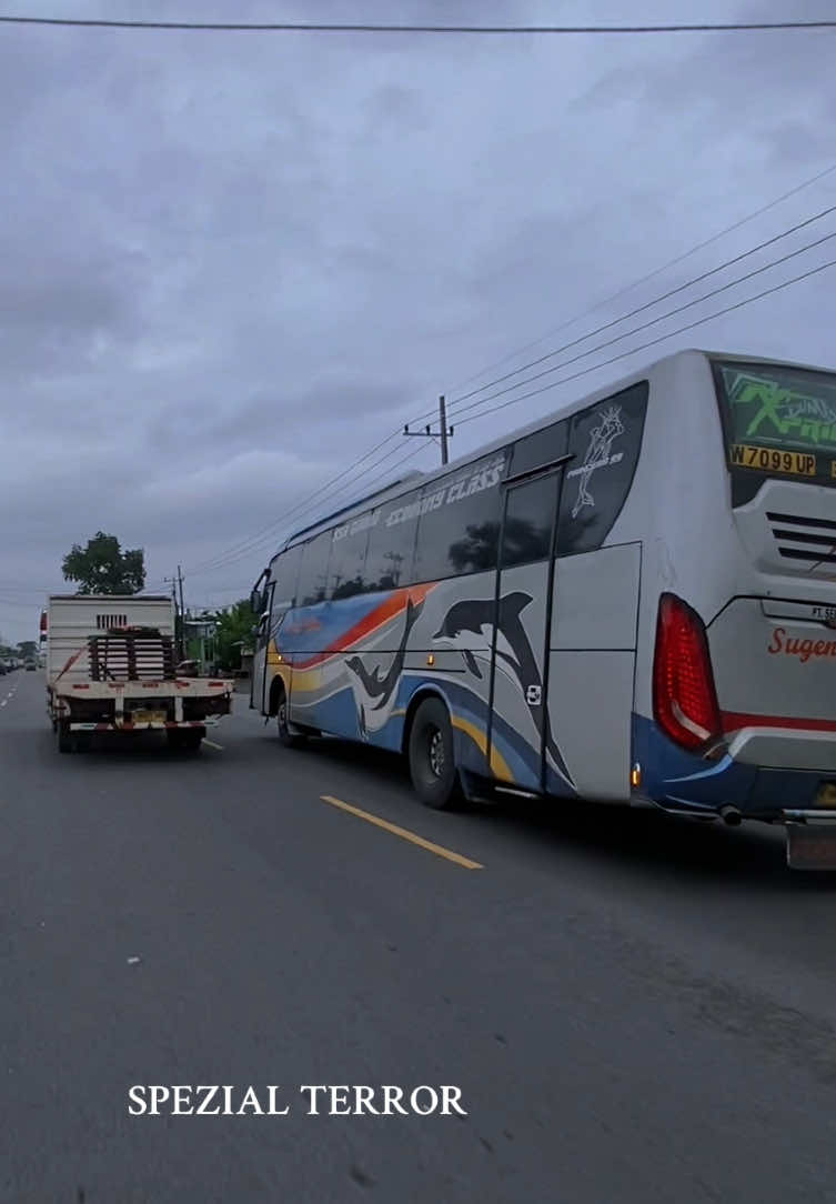 Pak aris in action🥶🤙🏻🥵🏁#fyp #fypage #fyppppppppppppppppppppppp #busmania #busjawatimuran #jammepet #jammalam #sumberselamat #sumbergroup #sugengrahayu #sumberkencono #sumberselamat🐬 #sugengrahayugroup #lumbalumbadarat🐬 #ngoyodbus #spezialterror 