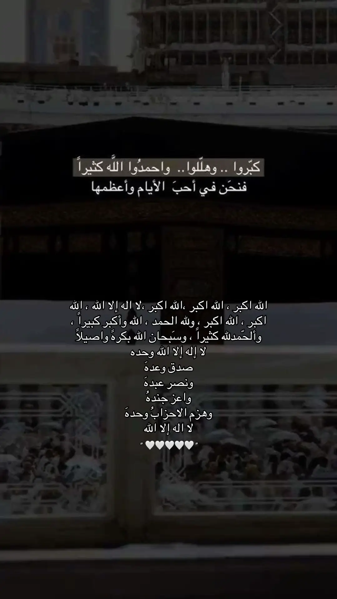 #تكبيرات_عشر_ذي_الحجة #لا_اله_الا_الله #🌺 