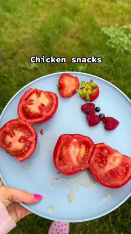 Luv them sm #chickensoftiktok #chickentok #chickensnacks #homesteadtok #homesteading #crunchytok #MomsofTikTok #homesteadmoms 