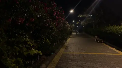 لٍيلة كئيبة🌷