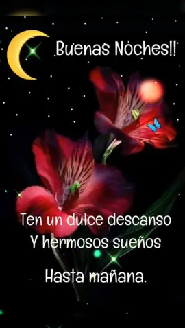 #buenasnoches# #bendiciones#parati# #saludosconcariño# #tuereselmasimportante# #CapCutMotivacional#