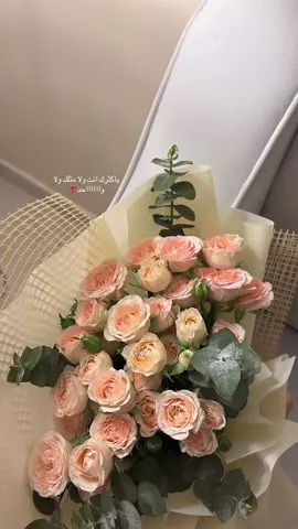 ❣️❣️#اكسبلور #تصويريء 