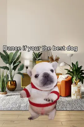 #fyp#pibble#pibblecore 