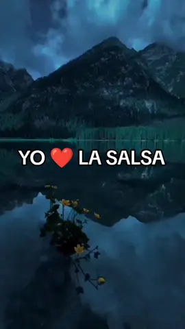 YO ❤️ LA SALSA 