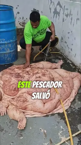 #LearnOnTikTok #storytime #truestory #policia #hombre #foryou #fyp 