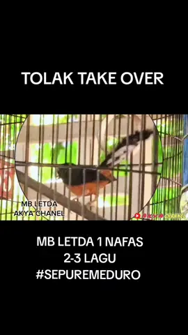 TERIMAKASIH YG SUDAH MENAWAR masih buat SUPPORT NYA MABESKOMANDOSF @Gmk @Mabes Komando SF #mabeskomandosf #akyachanel #kicaumania #muraibatu #fyp 