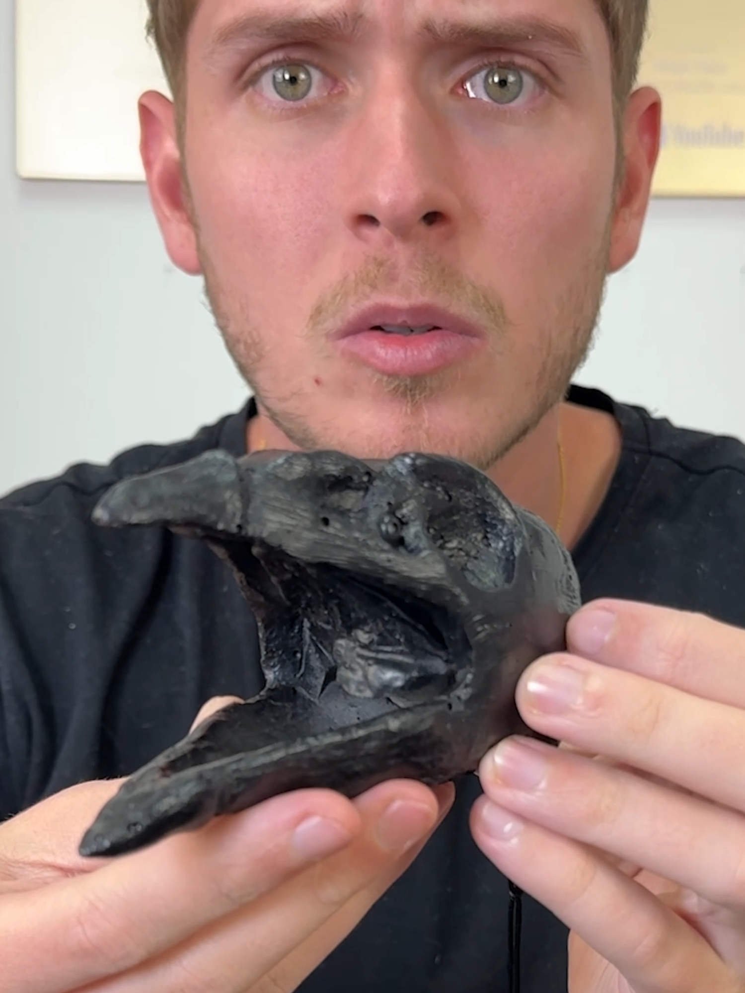 Death Whistle