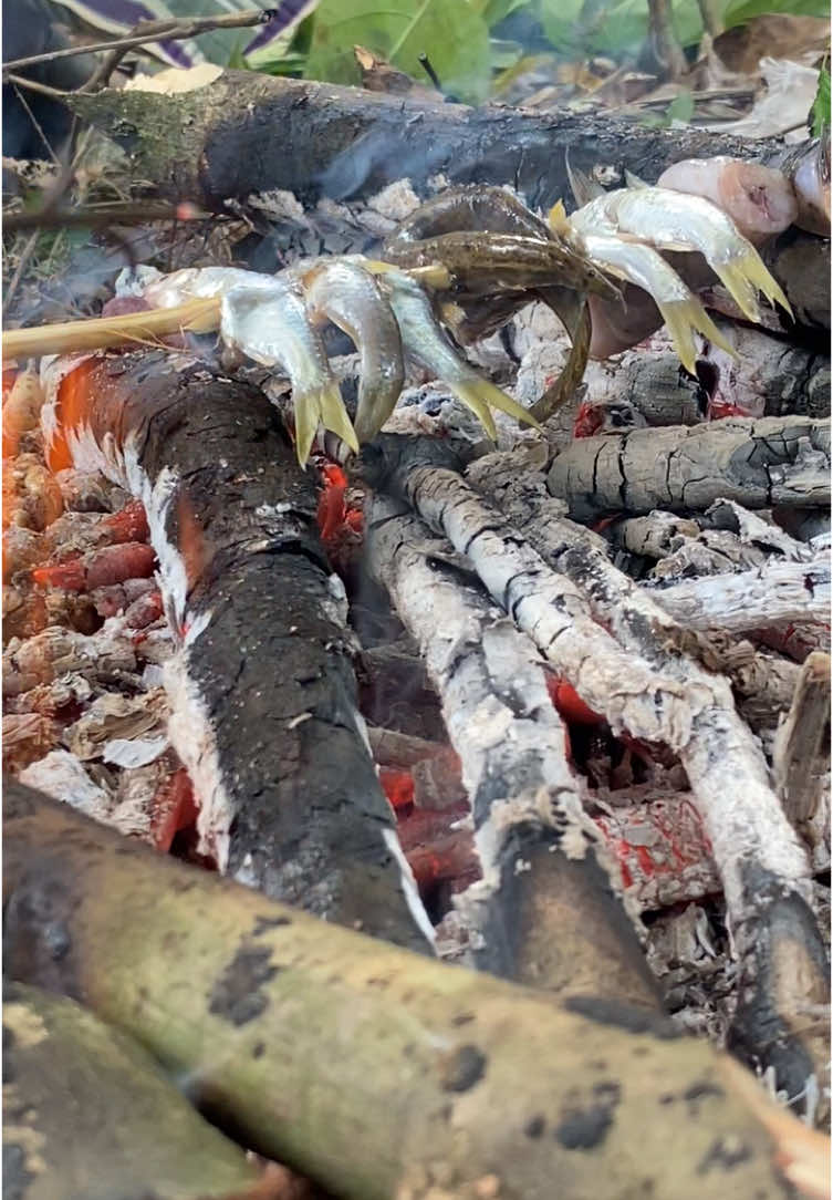 Bakar ikan ditengah hutan !! #bakarikan #ikanbakar #alam #memasak #memasakdialam #cooking #adventure #alamliar #alamliar #alamindonesia #memasakdialam #outdoorcooking #Outdoors #cooking #cookingfish #forest #petualangan #survive #masakikan #thebabadogs #hutan #alam #bogorhits #bogorviral #thebabadogs #viral #viralvideo #viraltiktok #fyp #fypage 