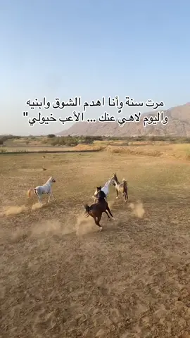 ماشاء الله تبارك الله🤍 #ماشاءالله_تبارك_الله_اذكروا_الله❤️  #خيل_عربي_اصيل #خيل_وخياله🐎  #بارق_مجارده_محايل 