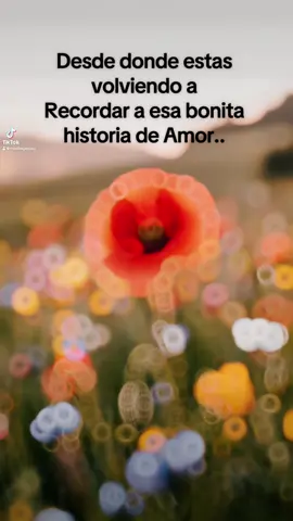 Esta musica me vuelve a revivir los momentos mas bonitos de mi vida con mi gran amor🥰🙏🏼 ##80s #fyp #fypシ #80s #peggaso #pegapega #Tamaulipas #nuevoleon #viejitasperobonitas #viejitasperobonitascanciones 
