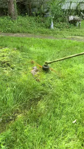 DON’T ever COMPLAIN about prices #lawncare #fyp #chillinos #lawntok #landscaping #grass #grasstok #dadtok #lawn #tips #lawntips #satisfying #business 