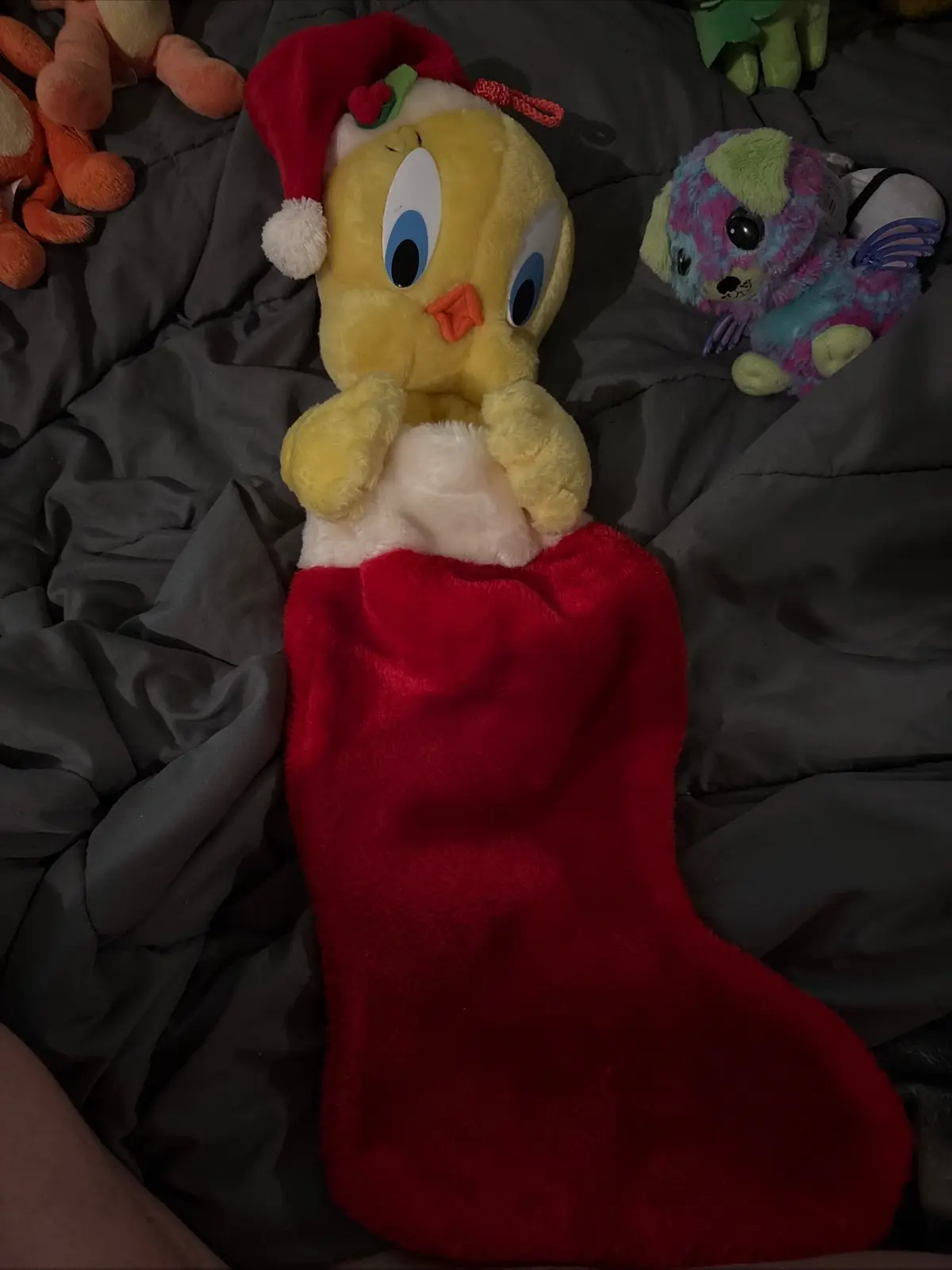 #Lemon8 