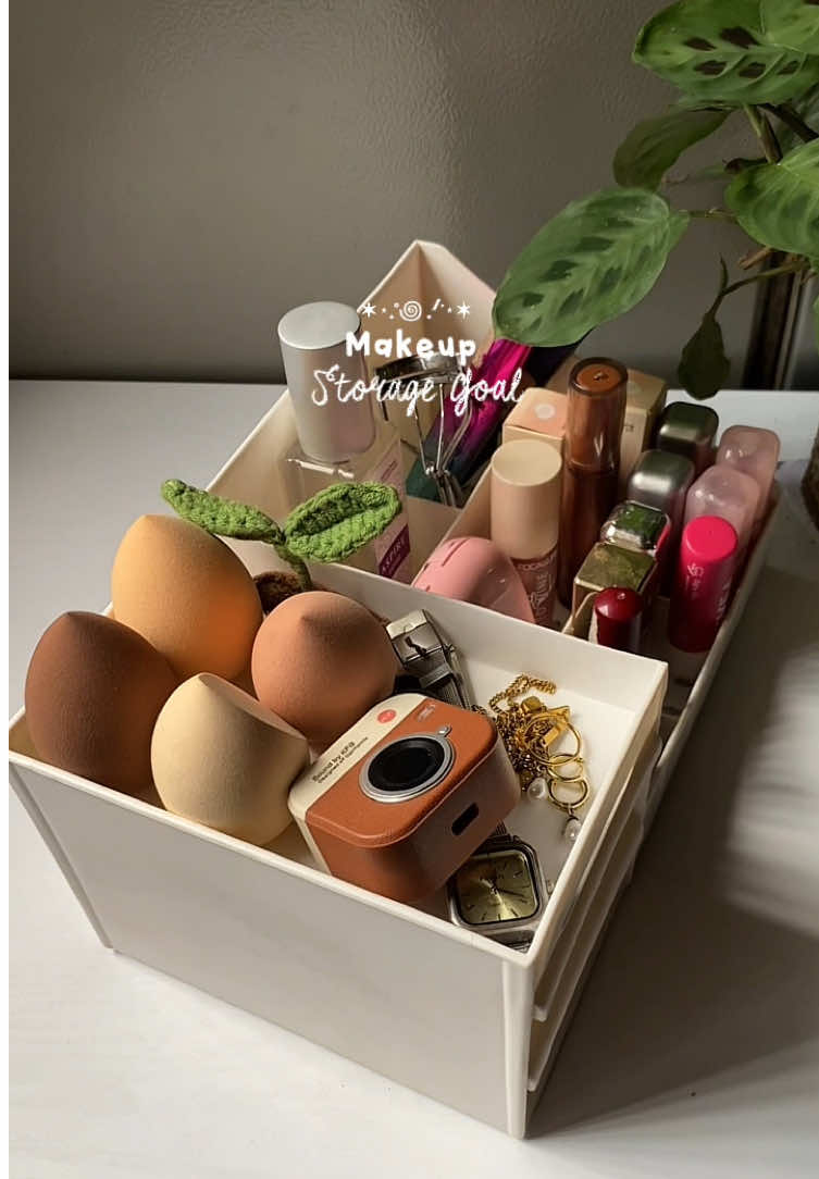 this is your sign to organize them🌱🩷 #organizer #deskorganizer #cosmeticstorage #makeuporganizer #organization #tiktokrecomendations #organizerideas #fyp #musthaves 