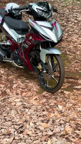 yz15r ❤️‍🔥 #xuhuongtiktok #viraltiktok #yz15r_malaysia 