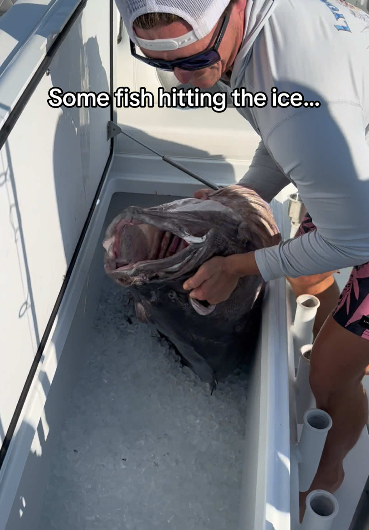 No better sound on the water. #Lyonfish. Instagram link in bio for more. Tiktok no fish were harmed in this video. #florida #offshore #shark #tuna #wahoo #deep #boat #snapper #grouper #swordfish #fish #fishing #fishtok #reef #yacht #travel 