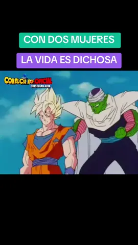 que buen zapateo pingoro #dragonball #dragonballz #dbz #goku #huayno 