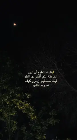 #ليتك_تستطيع_أن_ترى_الطريقة_التي_أنظر_بها_إليك_ #ليتك_تستطيع_أن_ترى_كيف_تبدو_بداخلي  #ياليل 