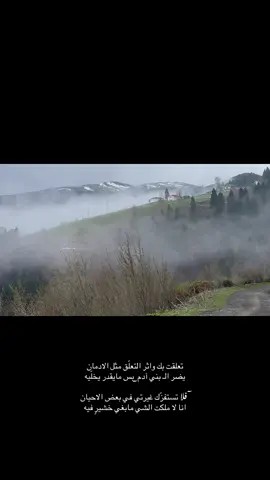 #اكسبلور #تصويري #تركيا #ابها #نجران #fyp 