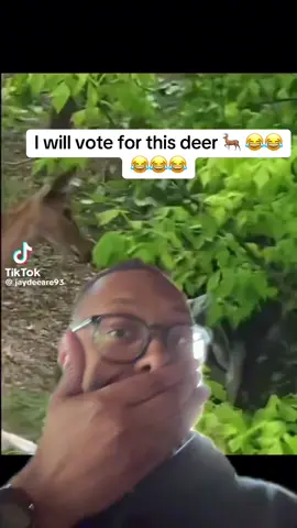 With deers like this we can stay home and know they are protected 😂😂😂😂sorry mama #fyp #animetiktok #fypage #creatorsearchinsights 
