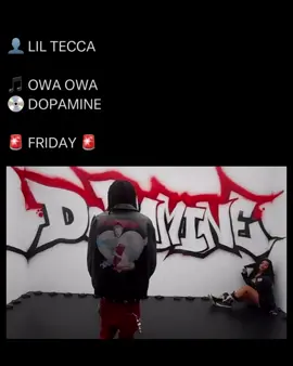 PRESAVE LINK IN BIO 🐐🔥| #liltecca #PLANA #tec #rap #fyp #planathealbum #500lbs #teccaupdates #dopaminethealbum #music  #owaowa  