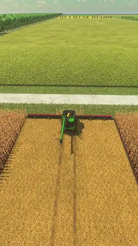 marca teu amigo aí pra fazer o teste 😂 #farmingsimulator