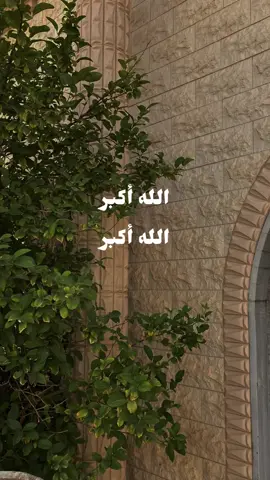 #عيد_الاضحى #احيوا_سنة_التكبير #explore 