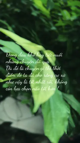 Đó là thời điểm tốt rồi#phatphapnhiemmau #LearnOnTikTok #xuhuongtiktok 