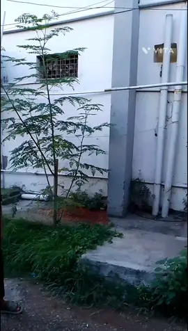 Part-2  আপনি লুচ্চা মিয়া  নতুন ভিডিও পেতে হলে পাশে থাকুন ⚡#team shocked 