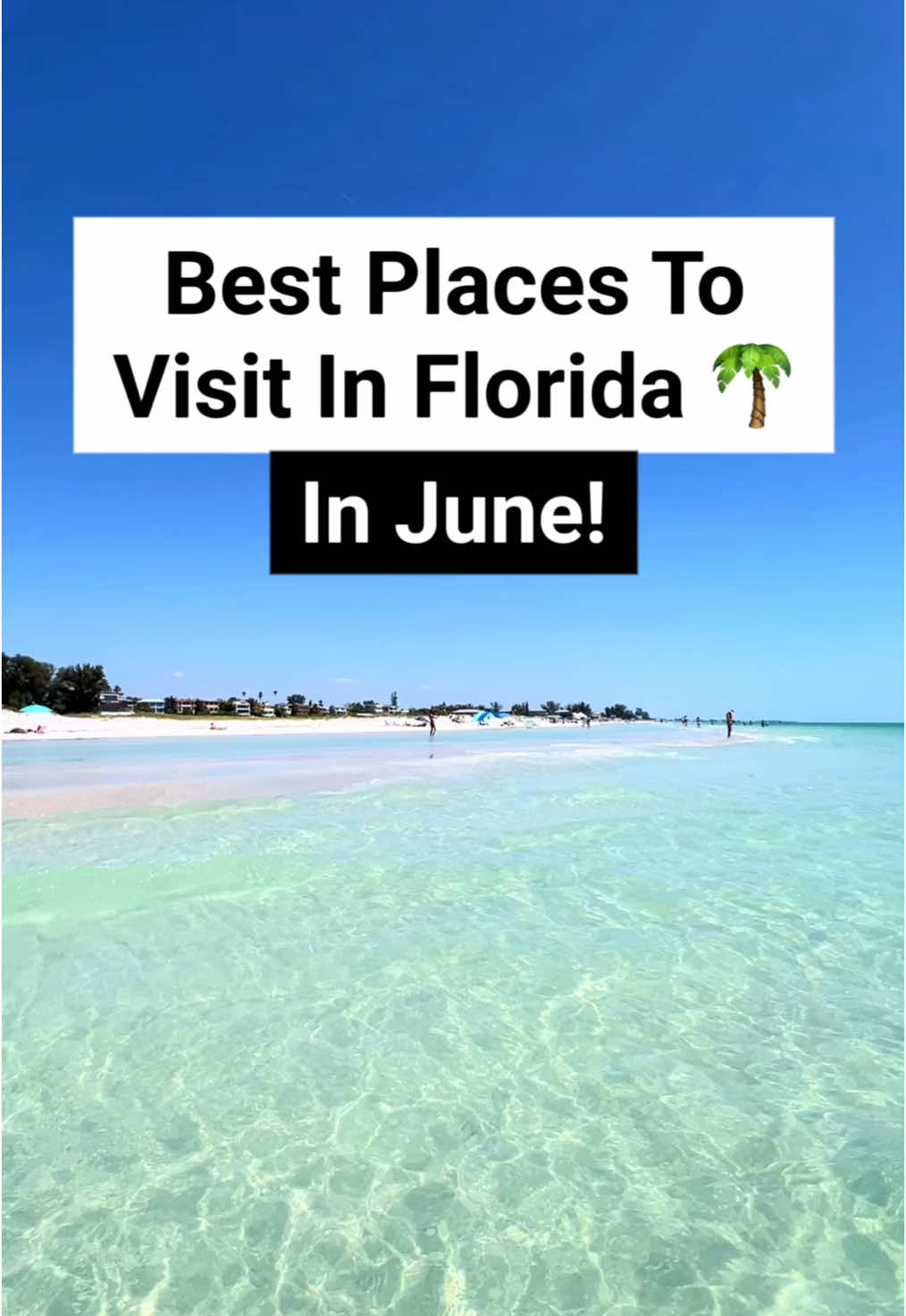 Best places to visit in Florida in June!! I know that it is getting hot out and rainy season has begun, but here are some of my favorite activities for June in Florida! #floridatravel #floridatrip #junetravel #hiddengems #oxfordexchange #sarasota #sarasotaflorida #keywest #floridakeys #floridavacation #floridavacation #vacationmode #summervibes  #summervacation 