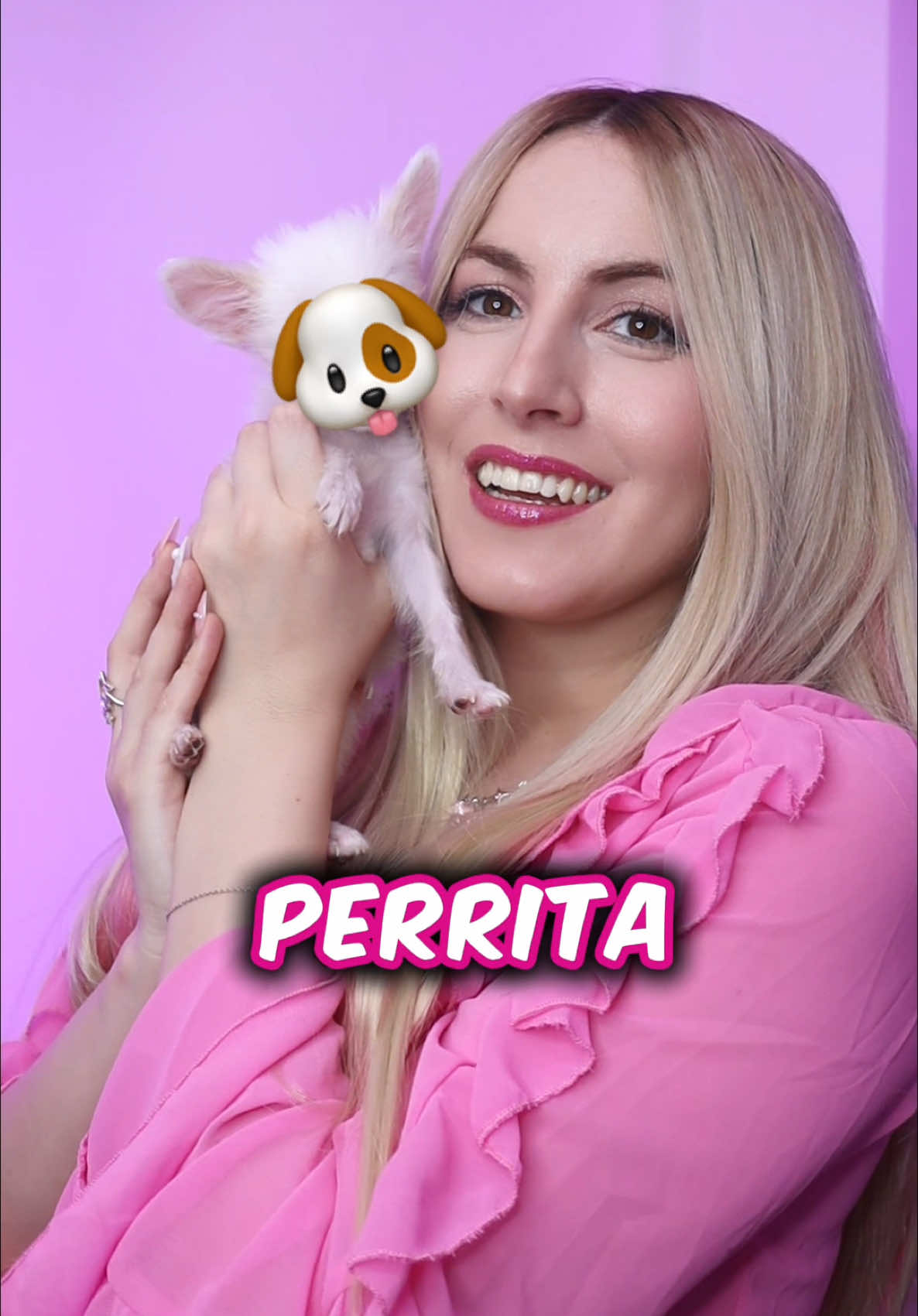 Adivinen cómo se llama mi nueva perrita 😍🐾 #Vlog #perritos #chihuahua 