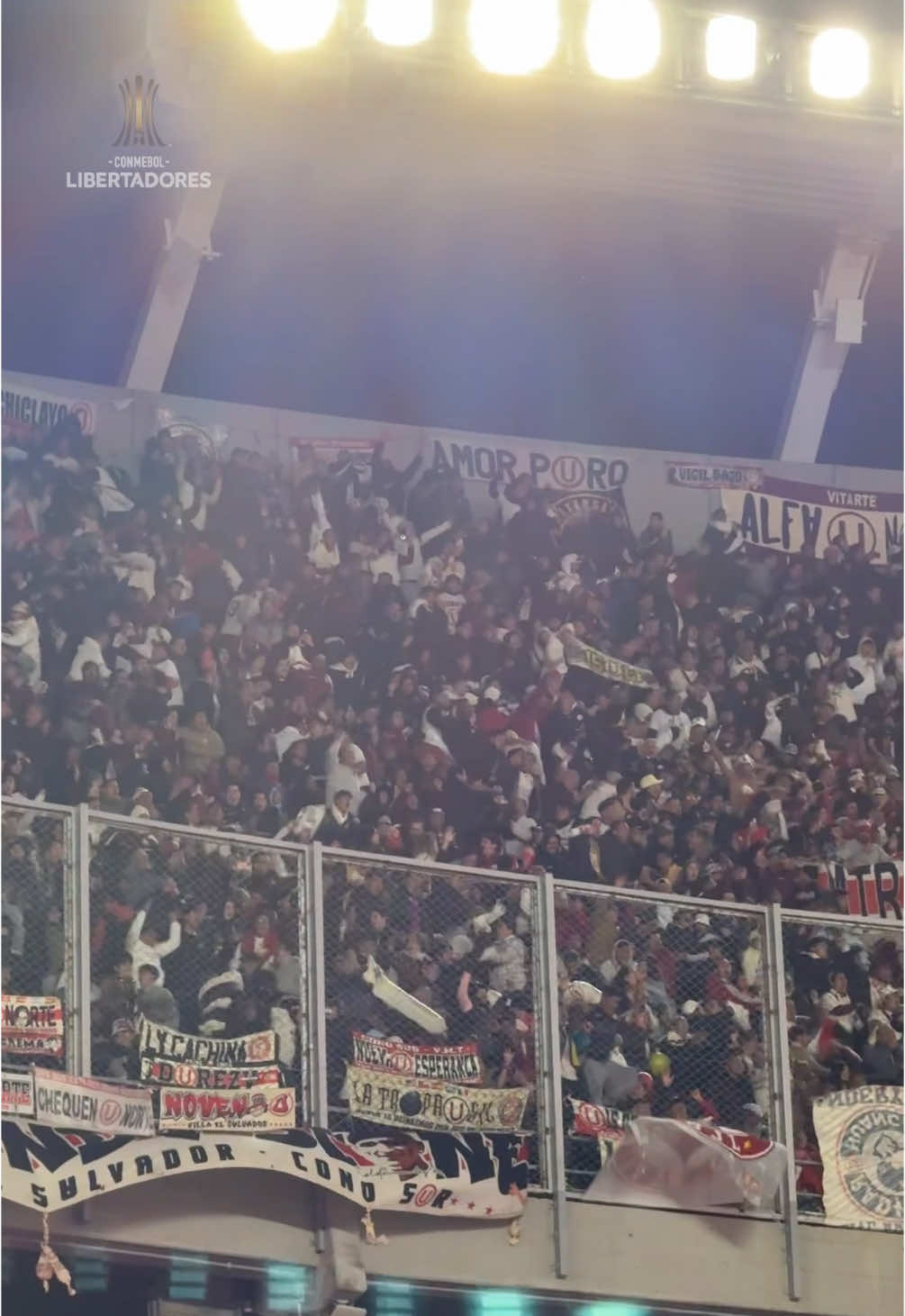 ¡Qué manera de gritarlo! Así se festejó en la tribuna el 1 a 1 de #Universitario ante #RiverPlate en la CONMEBOL #Libertadores 🏆 #TikTokDeportes #GloriaEterna 