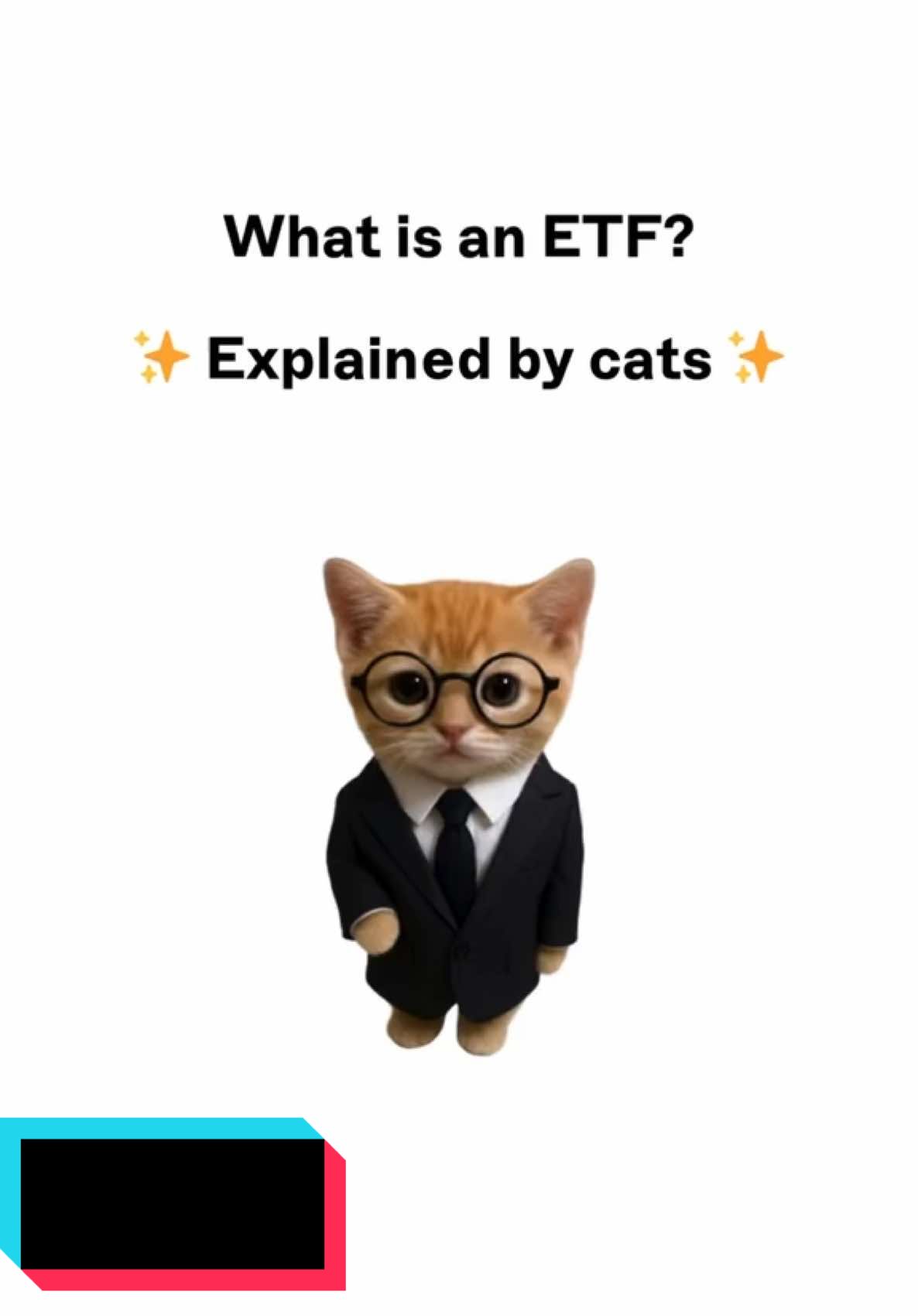 #hedge #hedgeapp #invest #stocks #catanimation #fyp #viral