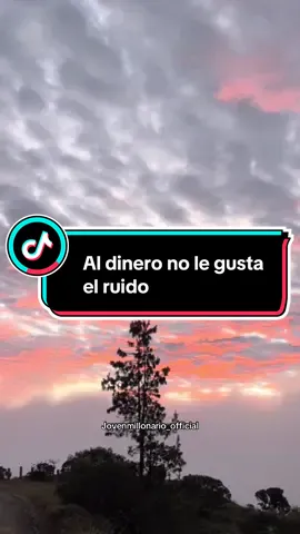 Al dinero no le gusta el ruido #dinero #silencio #exito #bancos #enfoque #ruido #callado #fyp #exitosos #millonarios #empresarios 