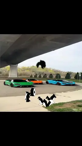 collab w/ @angelo.edits96 | one of my best!! | #ZXCHX #fyppppppppppppppppppppppp #NodeVideo #sportscar #HyperCars #supercar #Fyp #Caredit #collab @𝐉𝐇𝐎𝐍𝐗 🦇 @𝓢𝖎𝖌𝖒𝖆 𝖐𝖆𝖗𝖒𝖆 ﾑ @🌹D4n15h🌹 @𝕰𝖆𝖗𝖔𝖓𝖘𝖊𝖉𝖎𝖙 @mjrYZ @KEGLE 🦇 @⊹ ࣪ ˖𐙚𝓳𝓪𝔂𝓭𝓲𝓷𝓮𐙚⊹ ࣪ ˖ @NXSPD @PAVER @𝐏𝐘𝐂𝐄 @SANTI @𝖘𝖆𝖙 𝖝𝖎𝖉 [𝐗𝟐] @V I R U Z Z🦠 @X ᴀ ᴠ ɪ ᴇ ʀ @X 