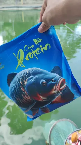 - Cám protein dg hót mấy ngày qua nè ae. ae đã dùng thử chưa. mua 2 gói để được miễn ship nha.  #camprotein #camcauca #cauca 