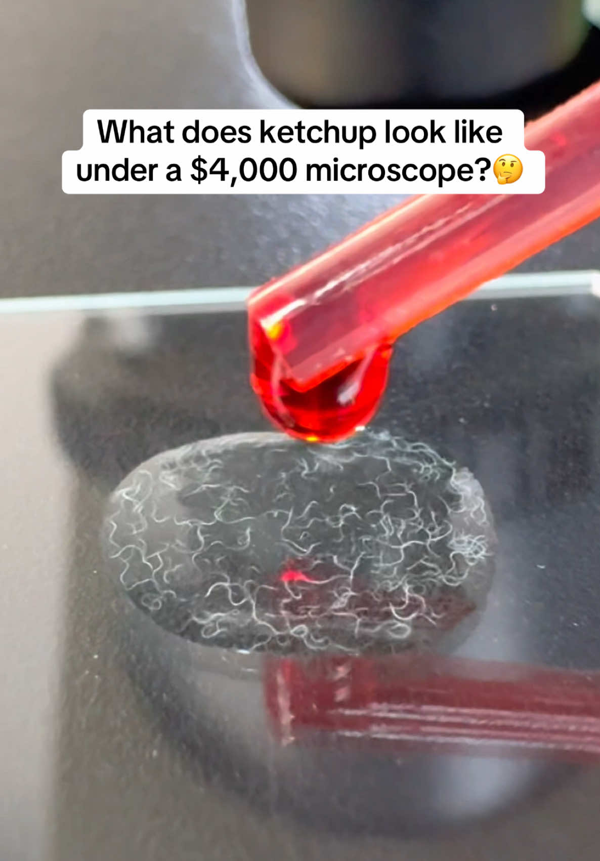 What should we look at next? 