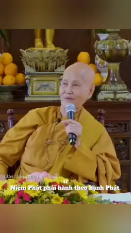 Ni Sư Thích Nữ Tâm Tâm - Trụ trì Tịnh Xá Pháp Huệ quận Bình Tân  #sctamtam #tinhxaphaphue #xuhuong 