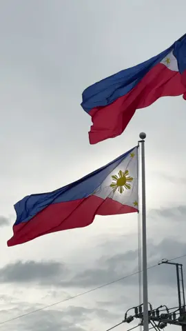 In celebration of National Flag Day, we proudly raise the Philippine flag high at SM Center San Pedro! 🇵🇭   Let’s honor the freedom, pride, and joy of being Filipino as we begin the countdown to the 127th Independence Day! 💙   Taas-noo, Pilipinas—mas ‘Pinas Saya dito sa SM!   #IndependenceDayAtSM #EverythingsHereAtSM