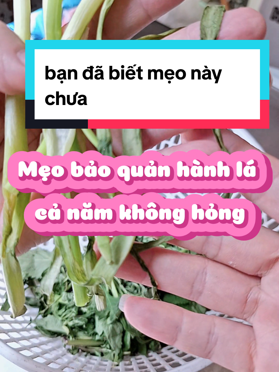 xem xong video này bạn sẽ tiết kiệm được nhiều thứ #mẹo #mẹovặt #mẹohay 