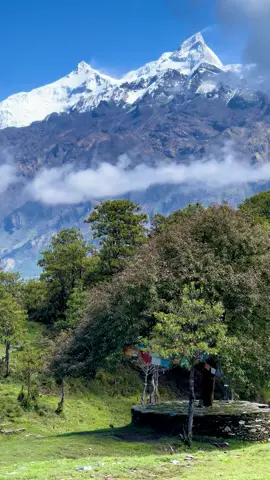 Tha Combination of nature and mountains breathtaking view location: Ghyachchok Nage pokhari gorkha ❤️🏔️#gorkhali_muser❤ #घ्याच्चोक🏔️❤️ #fyp #nature 