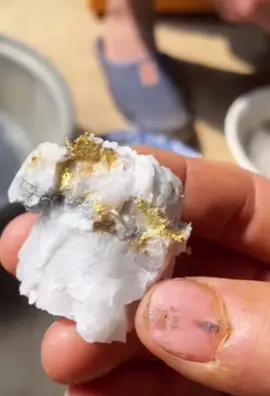 ذهب#gold#كوارتز#عروق الذهب#مناجم_الذهب#السعوديه 