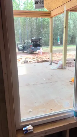 Just a yellow lab and 2 year old being partners in Crime! My favorite video EVER  #girlsbestfriend #Lab  #SheisTrouble #newconstructionhome 