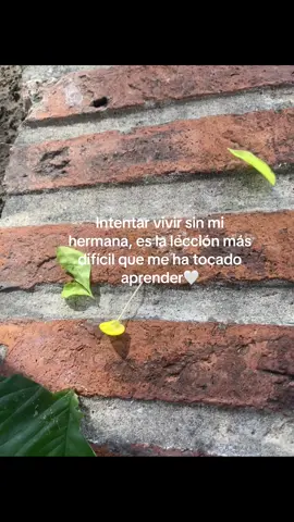 No hay día que acepte la realidad 🫩 